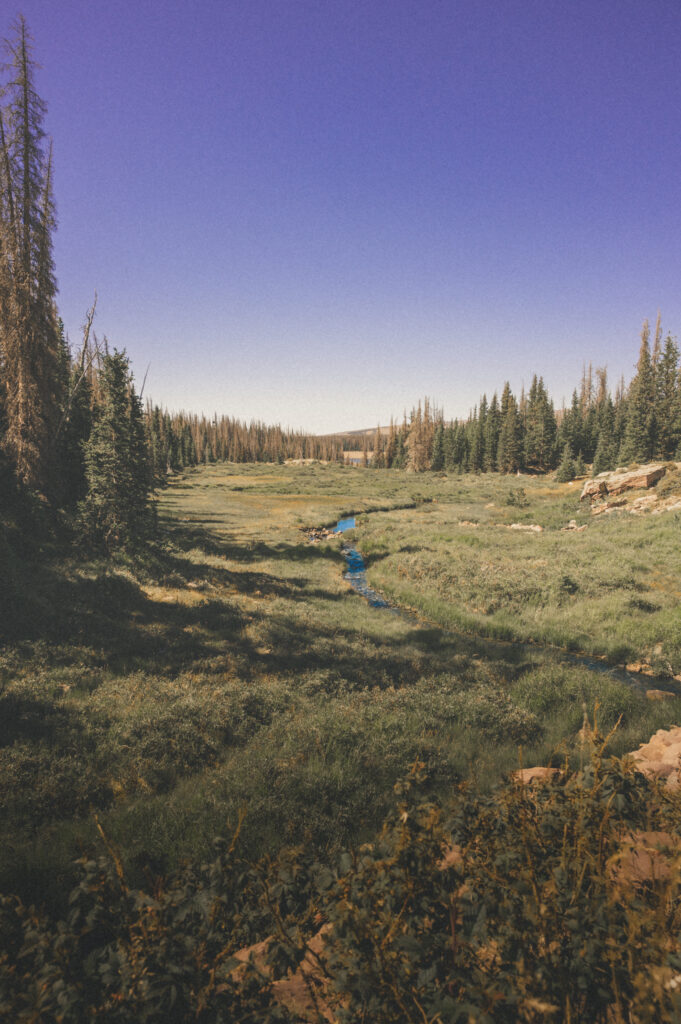 Campout-51