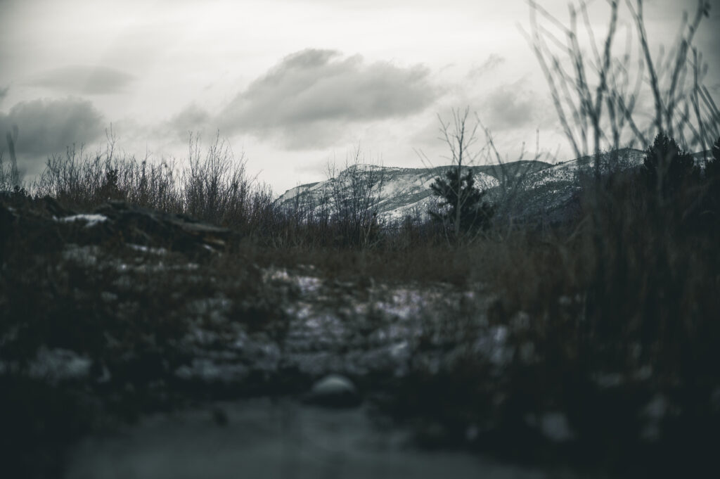 February 12th Mountains-21
