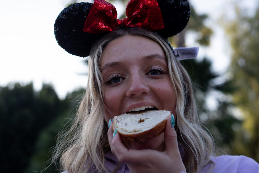 SwigDisneyTrip-5